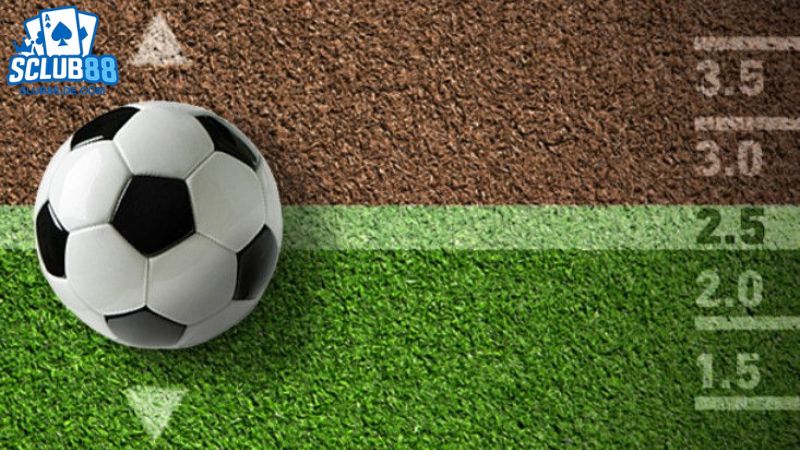 mẹo soi kèo tài xỉu