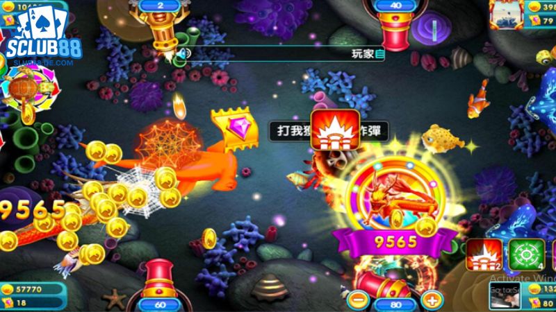 bí mật thuật toán bắn cá