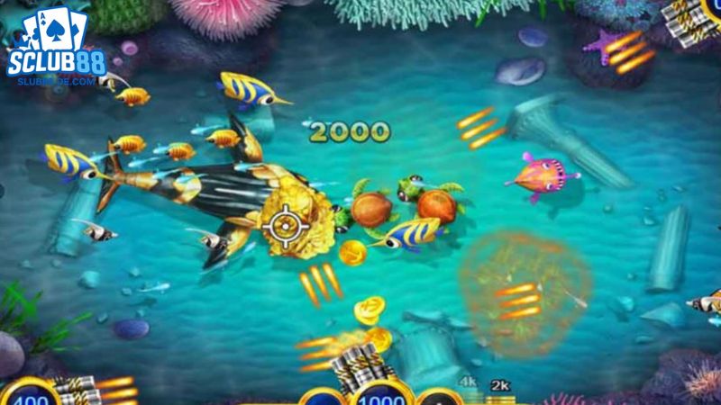 thuật toán bắn cá